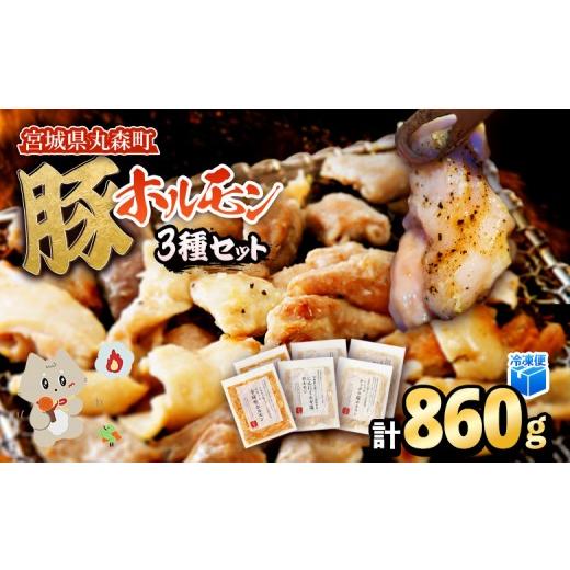 ふるさと納税 豚肉 ホルモン 宮城県 丸森町 古今東北 丸森町大槻ファーム 豚ホルモン3種セット(計860g) | 古今東北 大槻ファーム 豚ホルモン 3種類 セット 8…