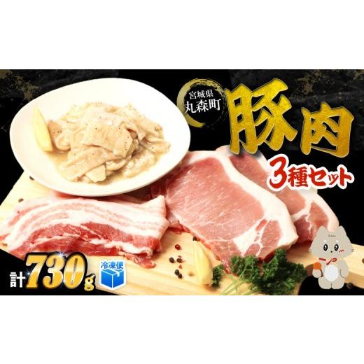 ふるさと納税 豚肉 ロース 宮城県 丸森町 古今東北 丸森町大槻ファーム 豚肉3種セット(計730g) | 古今東北 大槻ファーム 豚肉 3種類 セット 詰合せ SPF豚 し…