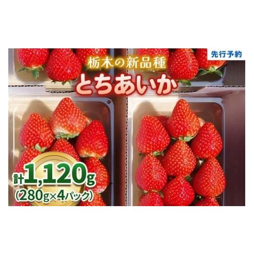 ふるさと納税 いちご 栃木県 矢板市 定期便2回 いちご 栃木の新定番 「とちあいか」 1,120g (280g×4P)| 澳原いちご農園 栃木県 矢板市 定期便2回 とちあいか…