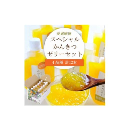 ふるさと納税 菓子 ゼリー 愛媛県 八幡浜市 愛媛選り抜き スペシャルかんきつゼリー12本セット │ みかん 不知火 甘平 清見 C25-152 _みかんゼリー ミカン 甘…