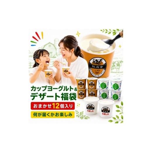 ふるさと納税 菓子 ヨーグルト 岐阜県 飛騨市 牧成舎 訳あり ヨーグルト 福袋 | 短賞味期限 個食タイプ ヨーグルトセット 食品ロス おすすめ 人気 ヨーグル…