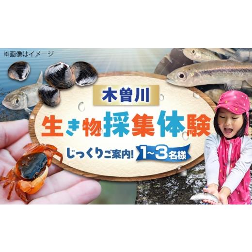 ふるさと納税 体験チケット 愛知県 愛西市 木曽川の生き物採集体験 1〜3名まで 体験 チケット 採集 愛西市 / 艶麗