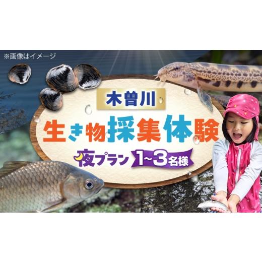 ふるさと納税 体験チケット 愛知県 愛西市 木曽川の生き物採集体験 (夜プラン) 1〜3名まで 体験 チケット 採集 愛西市 / 艶麗