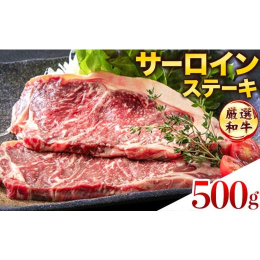 ふるさと納税 牛肉 サーロイン 熊本県 菊池市 ステーキ 赤身 牛肉 サーロインステーキ 送料無料 あか牛 小分け 熊本県産 500g ( 250g x 2枚 ) 小分け 個包装 …