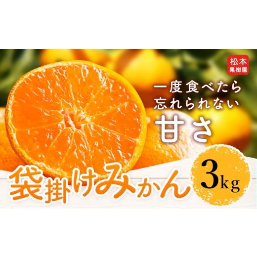 ふるさと納税 果物類 みかん 熊本県 苓北町 袋掛け みかん 3kg 松本果樹園 [2027年1月中旬-1月末頃出荷] 熊本県 苓北町 スイーツ デザート 果物 ミカン 蜜柑