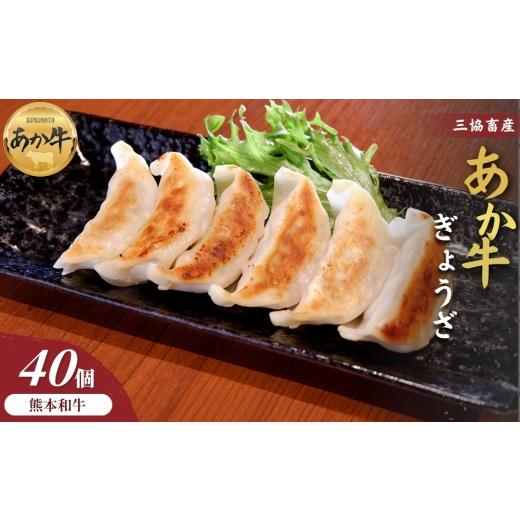 ふるさと納税 餃子 熊本県 阿蘇市 三協畜産 熊本和牛あか牛ぎょうざ 40個 和牛 国産牛 お取り寄せ ご当地 高級 贅沢 ジューシー餃子 冷凍 あか牛 熊本県産 濃…