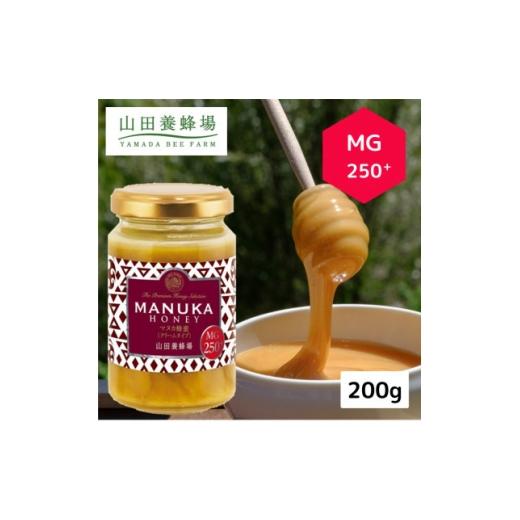 ふるさと納税 加工品等 はちみつ 岡山県 津山市 毎月定期便 マヌカ蜂蜜(クリームタイプ)MG250+200g(22178) マヌカハニー全6回 4086623