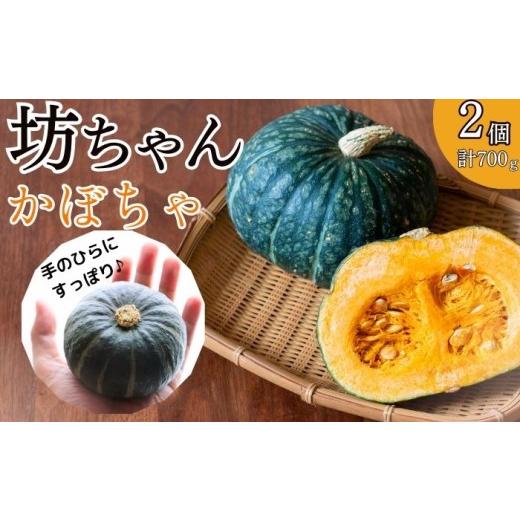 ふるさと納税 野菜類 岩手県 滝沢市 坊ちゃんかぼちゃ 2個 700g 産業開発 かぼちゃ カボチャ 南瓜 産直 サラダ グラタン スープ ポタージュ プリン コロッケ …