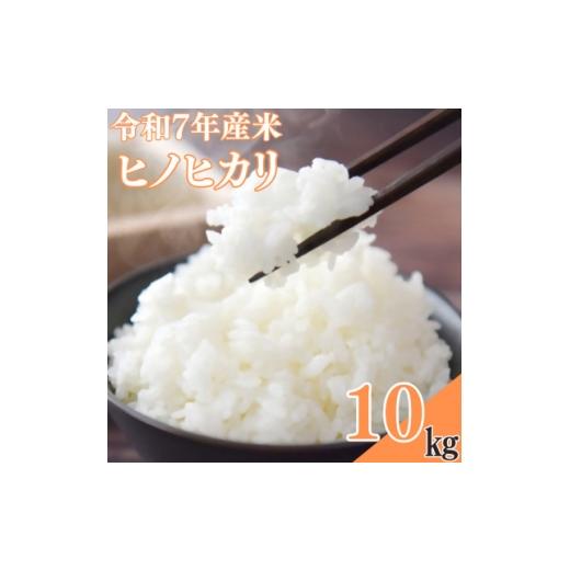 ふるさと納税 米 大分県 日出町 令和7年産米 ヒノヒカリ 10kg 1735845