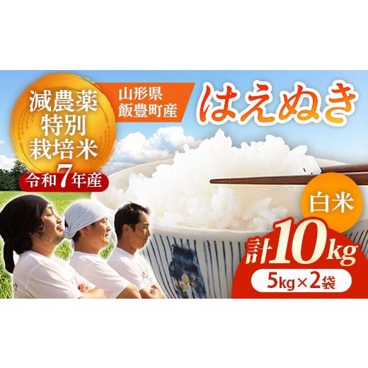 ふるさと納税 米 はえぬき 山形県 飯豊町 R7年産米 はえぬき 白米 10kg(5kg×2) - 白米 米 ごはん 品種 銘柄 ブランド米 おすすめ 送料無料 山形県 飯豊町