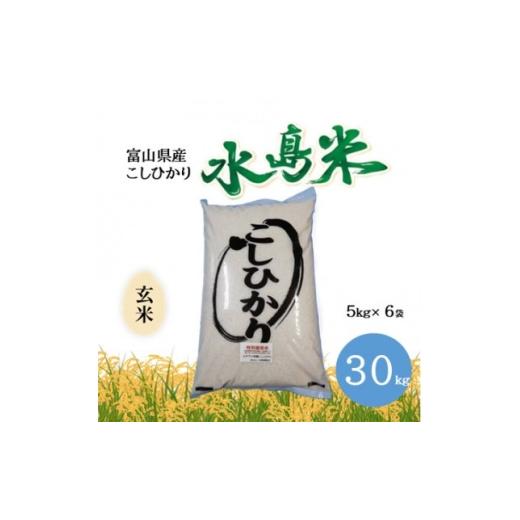 ふるさと納税 玄米 富山県 小矢部市 栽培期間中農薬・化学肥料不使用 こしひかり 玄米 5kg×6袋(30kg) 1735092