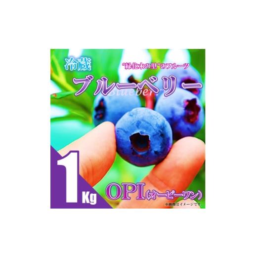 ふるさと納税 果物類 福島県 中島村 先行予約/冷蔵 ブルーベリー1kg(OP1) 1494375