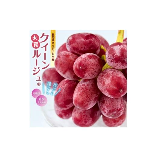 ふるさと納税 ぶどう 長野県 中野市 厳選 大房クイーンルージュ(R) 秀品 1房(約600g) 1631275