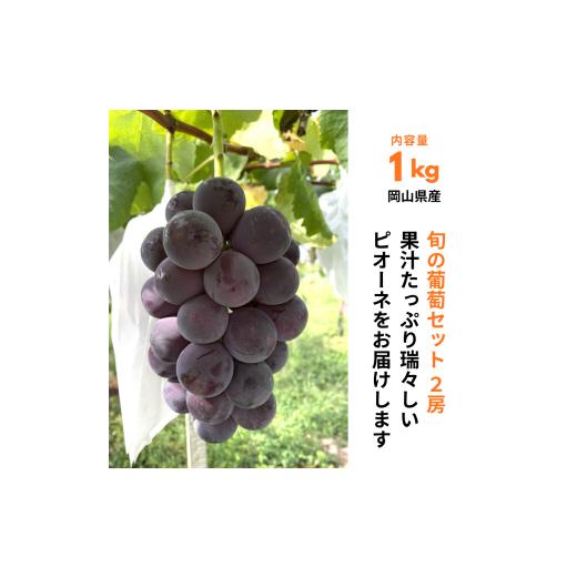 ふるさと納税 ぶどう 岡山県 井原市 ぶどうセット 2房(ニューピオーネ1房+おすすめ品種1房)1kg 旬 岡山県産