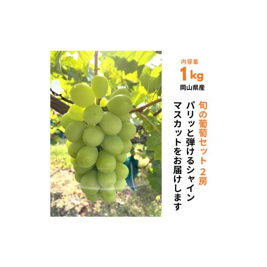 ふるさと納税 ぶどう 岡山県 井原市 ぶどうセット 2房(シャインマスカット1房+おすすめ品種1房)1kg 旬 岡山県産