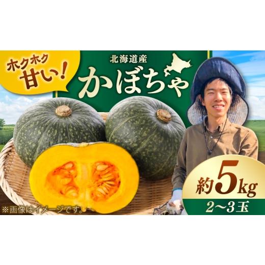 ふるさと納税 野菜類 北海道 美唄市 先行予約/9月順次発送 北海道産 こだわりかぼちゃ 約5kg(2〜3玉)| かぼちゃ カボチャ 北海道 野菜 南瓜 | つくしの子…