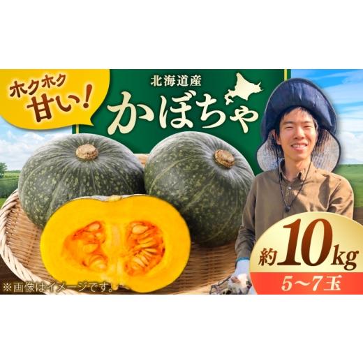 ふるさと納税 野菜類 北海道 美唄市 先行予約/9月順次発送 北海道産 こだわりかぼちゃ 約10kg(5〜7玉)| かぼちゃ カボチャ 北海道 野菜 南瓜 | つくしの子…