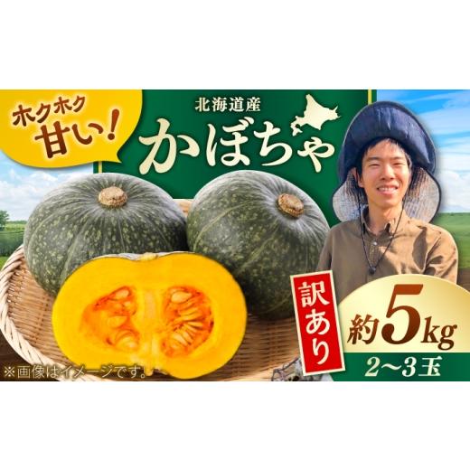 ふるさと納税 野菜類 北海道 美唄市 先行予約/9月順次発送 訳あり 北海道産 こだわりかぼちゃ 約5kg(2〜3玉)| かぼちゃ カボチャ 北海道 野菜 南瓜 | つく…