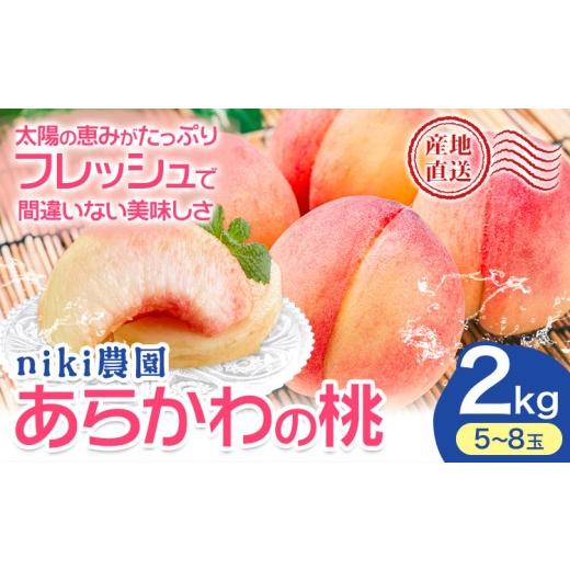 ふるさと納税 もも 和歌山県 紀の川市 桃 niki農園 直送 あらかわの桃 約2kg 5-8玉 And[2026年6月下旬-8月上旬頃出荷]和歌山県 紀の川市 フルーツ 果物 あら…