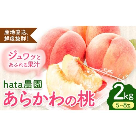 ふるさと納税 もも 和歌山県 紀の川市 桃 hata農園 直送 あら川の桃 約2kg 5-8玉 And[2026年6月下旬-8月上旬頃出荷]和歌山県 紀の川市 フルーツ 果物 あらか…