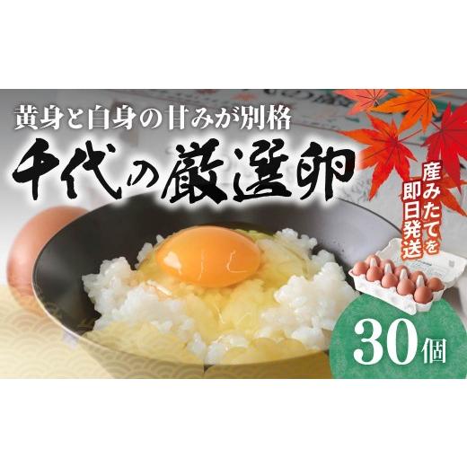 ふるさと納税 卵(鶏、烏骨鶏等) 群馬県 前橋市 卵 純国産鶏 朝どり 厳選卵 30個 割れ保証付き |こだわり 高評価 ブランド卵 リピート 希少 朝どり卵 即日発…