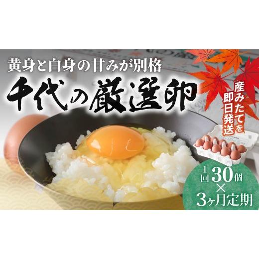 ふるさと納税 卵(鶏、烏骨鶏等) 群馬県 前橋市 3ヶ月定期便 卵 純国産鶏 朝どり 厳選卵 30個 割れ保証付き |こだわり 高評価 ブランド卵 リピート 希少 朝…