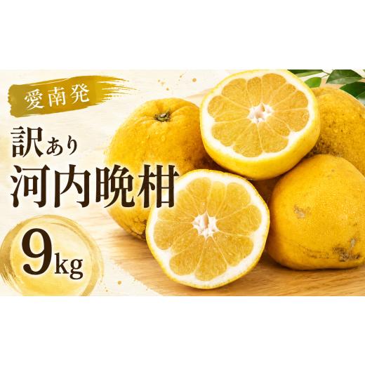 ふるさと納税 みかん・柑橘類 愛媛県 愛南町 数量限定 訳あり 河内晩柑 9kg ( サイズミックス ) 9000円 みかん mikan 蜜柑 ミカン わけあり かわちばんかん…