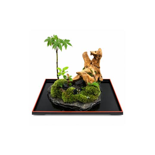 ふるさと納税 花・苗木 盆栽 愛知県 豊川市 苔盆景川石山水画 盆栽 苔 植物 インテリア 癒し 室内 観賞用 空間 一点物