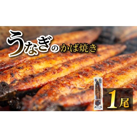 ふるさと納税 川魚 福岡県 柳川市 江口商店うなぎのかば焼き 1尾 こだわり親父の備長炭手焼き 江口商店 | うなぎ 鰻 国産 長蒲焼 1尾 国産 うなぎ 鰻 ウナギ…