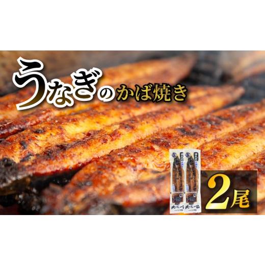 ふるさと納税 川魚 福岡県 柳川市 江口商店うなぎのかば焼き 2尾 こだわり親父の備長炭手焼き 江口商店 | うなぎ 鰻 国産 長蒲焼 国産 うなぎ 鰻 ウナギ 蒲…