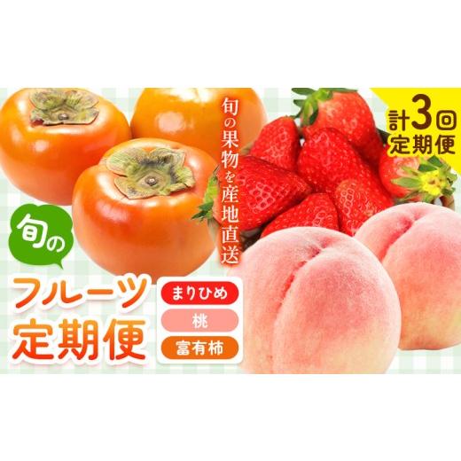 ふるさと納税 果物の詰合せ 和歌山県 日高川町 先行予約 発送月固定定期便 紀州和歌山産 旬のフルーツ便(いちご・桃・富有柿) 全3回 魚鶴商店[2027年2月…