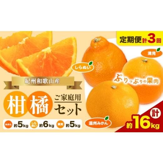 ふるさと納税 果物類 みかん 和歌山県 日高川町 発送月固定定期便 紀州 和歌山産 旬の ご家庭用 柑橘 セット (みかん 不知火 清見) 全3回 計16kg 株式会社魚…