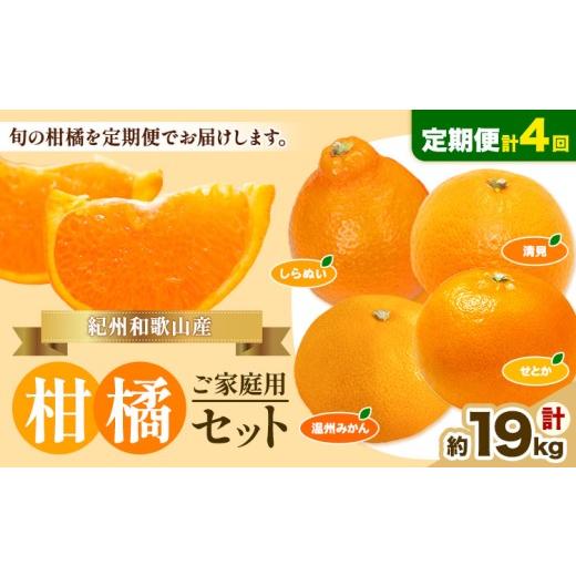 ふるさと納税 果物類 みかん 和歌山県 日高川町 先行予約 発送月固定定期便 紀州 和歌山産 旬の ご家庭用 柑橘 セット (みかん 不知火 せとか 清見) 全4回 計…