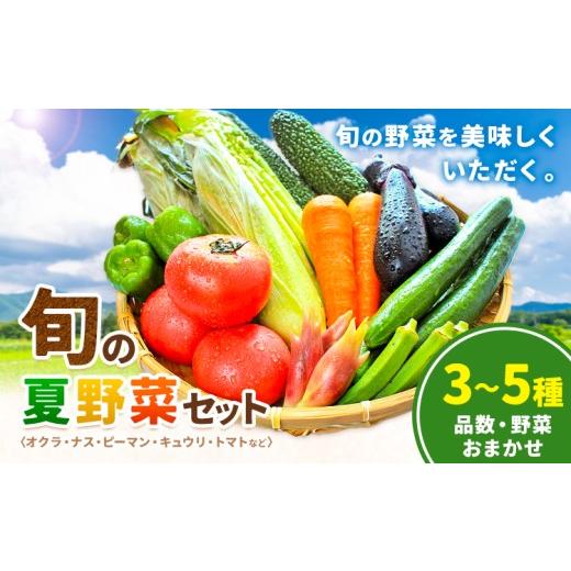 ふるさと納税 セット・詰合せ 和歌山県 日高川町 先行予約 野菜 旬 の 夏野菜 セット 3〜5種類 品数おまかせ 野菜おまかせ 浦西自然農園[7月下旬-10月中旬頃…