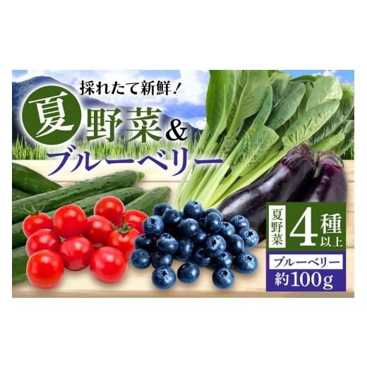 ふるさと納税 果物類 茨城県 小美玉市 数量限定・先行予約 小美玉産ブルーベリー&野菜4種類以上セット(夏) ブルーベリー 野菜 旬 夏野菜 セット お楽しみ ミ…