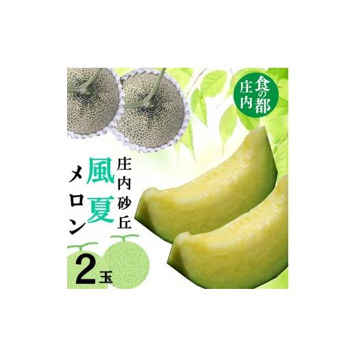 ふるさと納税 メロン メロン青肉 山形県 三川町 令和8年産 食の都庄内 庄内の風夏メロン(2玉) 2026年7月上旬〜8月上旬頃発送