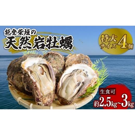 ふるさと納税 牡蠣 生牡蠣 石川県 羽咋市 先行予約 天然岩牡蠣 殻付き 生食 特大サイズ 4個 天然 岩ガキ 産地直送 冷蔵 鮮度抜群 牡蠣殻付き 大粒 ぷりぷり …