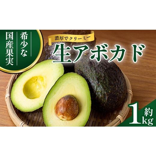 ふるさと納税 果物の詰合せ 鹿児島県 南大隅町 期間限定・数量限定 2026年11月より順次発送予定 南大隅町産 生アボカド 約1kg (4品種から2種以上おまかせ)S…