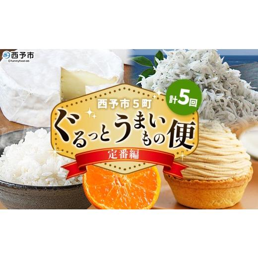 ふるさと納税 しらす・ちりめん 愛媛県 西予市 定期便 西予市5町ぐるっとうまいもの便(計5回)〜定番編〜 定期便 特産品 しらす ちりめん カマンベールチー…