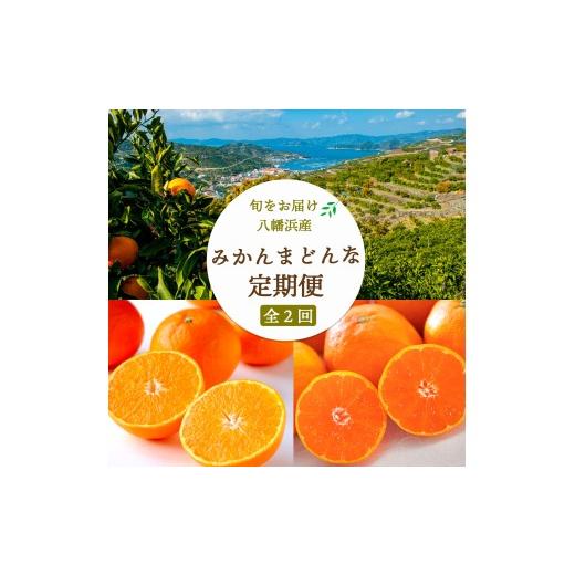ふるさと納税 果物類 みかん 愛媛県 八幡浜市 発送月固定定期便 愛媛みかん7kg(訳)×まどんな 2.5kg F25-251 全2回_みかん ミカン マドンナ 紅まどんな同品種…