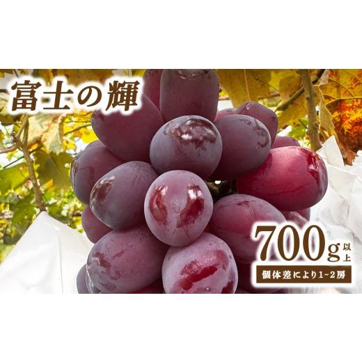 ふるさと納税 果物類 ぶどう 福岡県 大木町 富士の輝(ぶどう) 大木町 フルーツ 果物 宝果FARM DC002 富士の輝(ぶどう)
