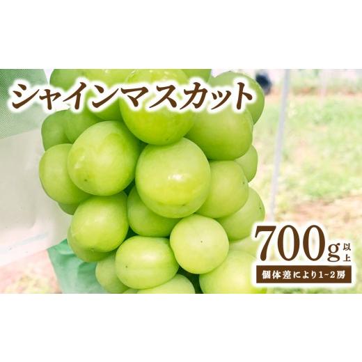 ふるさと納税 ぶどう マスカット 福岡県 大木町 シャインマスカット 大木町 フルーツ 果物 宝果FARM DC003 シャインマスカット