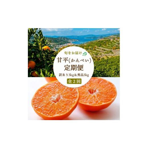 ふるさと納税 みかん・柑橘類 愛媛県 八幡浜市 2週間毎定期便 愛媛限定栽培 甘平3kg(訳)×甘平3kg(秀) H25-270 全2回 4071371 YW