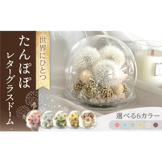 ふるさと納税 雑貨・日用品 花 長崎県 大村市 イエロー×オレンジ×グリーン 「世界にひとつ」たんぽぽレターグラスドーム / プリザーブドフラワー アレン…