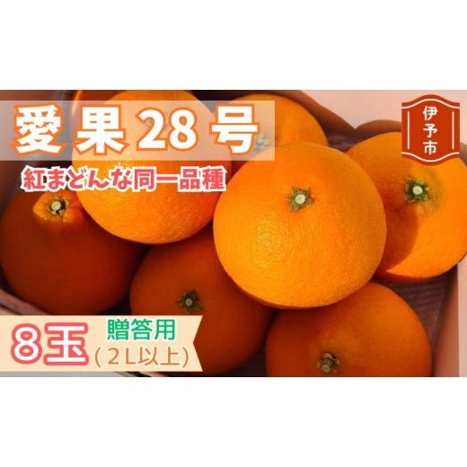 ふるさと納税 果物類 みかん 愛媛県 伊予市 2026年先行予約 みかん 愛果28号 贈答用 11月下旬から順次発送予定 紅まどんなと同一品種 柑橘 フルーツ 愛媛 伊…