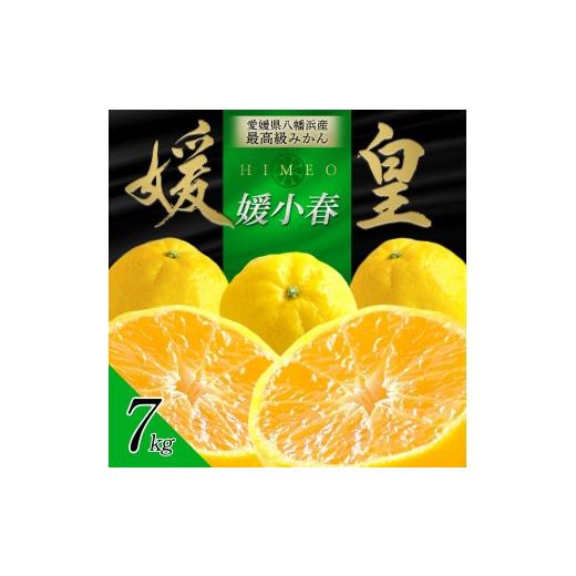 ふるさと納税 みかん・柑橘類 愛媛県 八幡浜市  先行受付 最高級みかん 媛皇 媛小春 7kg 愛媛県 八幡浜市 希少な幻の柑橘 黄色 H25-322 1714067 YWTAP263_1