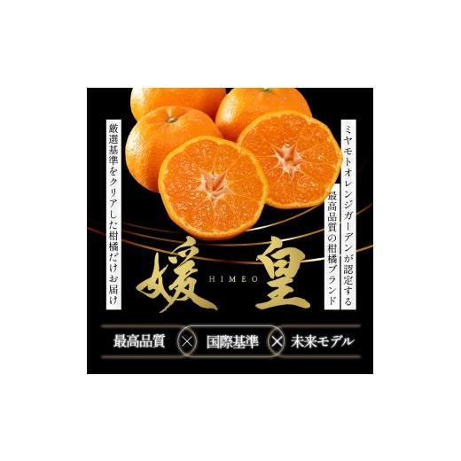 ふるさと納税 みかん・柑橘類 愛媛県 八幡浜市  先行受付 最高級みかん 媛皇 媛小春 7kg 愛媛県 八幡浜市 希少な幻の柑橘 黄色 H25-322 1714067 YWTAP263_2