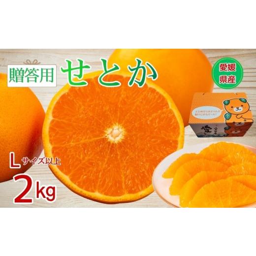 ふるさと納税 果物類 みかん 愛媛県 伊予市 2027年先行予約 せとか みかん 愛媛 2kg 贈答用 人気 数量限定 2027年1月中旬以降発送 柑橘 愛媛県産 伊予市|B54…