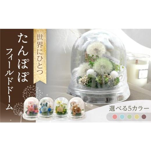 ふるさと納税 雑貨・日用品 花 長崎県 大村市 グリーンナチュラル たんぽぽフィールドドーム 世界にひとつ / プリザーブドフラワー アレンジメント 花材 …