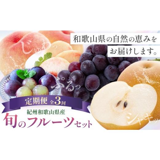 ふるさと納税 果物の詰合せ 和歌山県 日高川町 紀州 和歌山県産 旬の フルーツ セット 3ヶ月定期便 7月・8月・9月配送 桃 約1.8kg 梨 約2kg ピオーネ 約2kg 株…